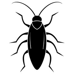 black and white beetle