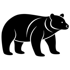 illustration of a bear