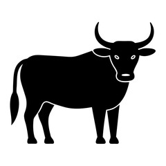 black and white cow