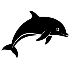 dolphin isolated