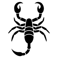 scorpion isolated on white background