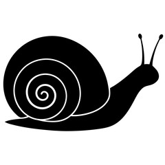 snail on a white background