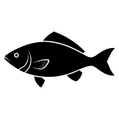 fish illustration
