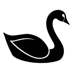 black swan vector