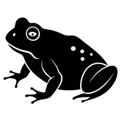 frog on white background
