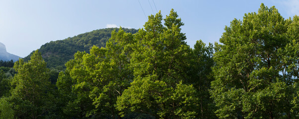 Rhodopes, are a mountain range in Southeastern Europe. Bulgaria. Panorama. The forest area covers the mountains.
