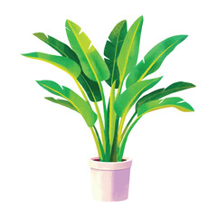 Vector Illustration of Bird of paradise - Tropical Greenery Plant for Nature-Inspired Projects and Eco-Friendly Projects