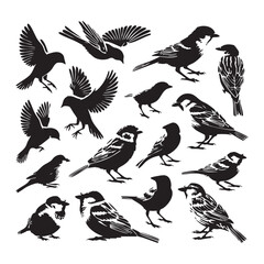 Obraz premium Silhouette set of sparrows on white background
