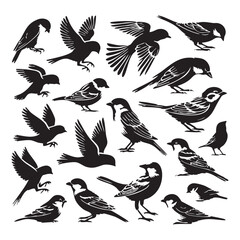 Obraz premium Silhouette set of sparrows on white background