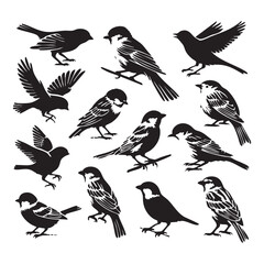 Silhouette set of sparrows on white background
