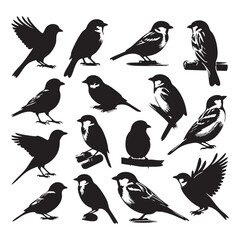 Obraz premium Silhouette set of sparrows on white background