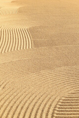 Close up of coffee beans drying in the sun           