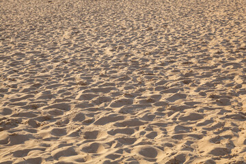 秋の鳥取砂丘とその紋様 鳥取県 鳥取砂丘