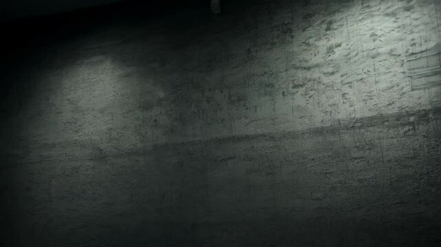 An evocative film noir style mugshot backdrop with a dark theme, enhancing the atmosphere for professional identification photographs