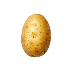 Light Brown Potato with Rough Texture