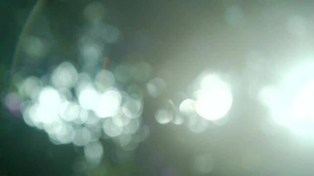 さわやかな朝の太陽の眩しい光でキラキラ輝く木々の葉のきらめき　自然の緑の丸ボケとやわらかい日光の背景　アウトドア・季節・はじまり・洗濯・天気晴れの風景