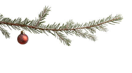  white background, Christmas tree branch Christmas toys, Christmas