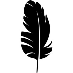 Abstract Bird Feather Silhouette. Isolated Flat Vector Illustration