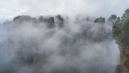 A mystical foggy landscape. The tall pillar-shaped mountains are shrouded in clouds and mist. Green vegetation on steep slopes and cliff top. China. Zhangjiajie National Forest Park.  Avatar