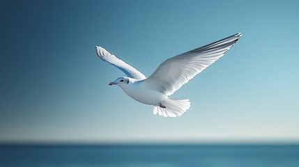 White Seagull Soaring Above Calm Ocean Waters