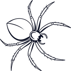 Spider outline vector and straightforward illustration line art design on a white background.