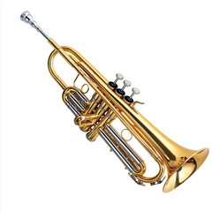 Obraz premium trumpet isolated on black