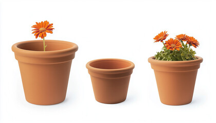 set of flower pot on white background