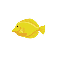 vector drawing tropical fish, yellow tang, lemon sailfin, somber surgeonfish, Zebrasoma flavescens isolated at white background, hand drawn illustration