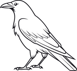 Crow outline vector and straightforward illustration line art design on a white background.