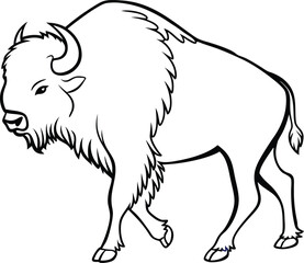 Buffalo outline vector and straightforward illustration line art design on a white background.