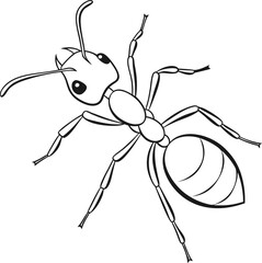 An ant outline vector and straightforward illustration line art design on a white background.