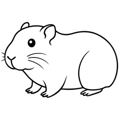 guinea pig