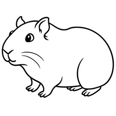 guinea pig