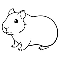 guinea pig