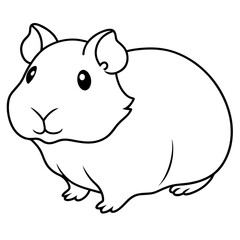 guinea pig