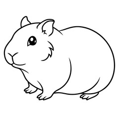 guinea pig
