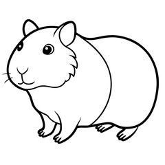guinea pig