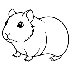 guinea pig