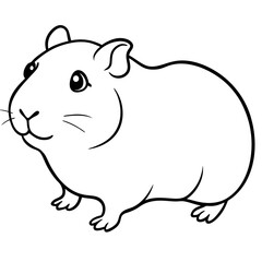 guinea pig