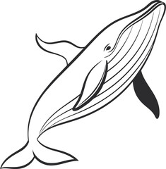 Whale outline vector and straightforward illustration line art design on a white background.