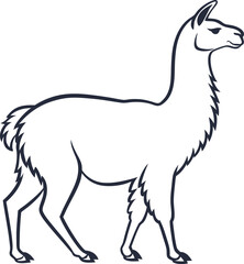 The alpaca outline vector and straightforward illustration line art design on a white background.