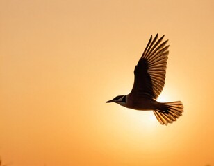 A bird is  flying in the evening on the ocean. Ai generated image.