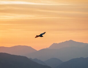 Fototapeta premium A bird is flying in the evening on the ocean. Ai generated image.