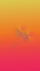 dandelion wallpapers for mobile phones and backgrounds Wallpapers featuring foliage typically feature a natural and lush aesthetic
