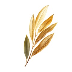 Golden bay leaves arrangement nature botanical art close-up