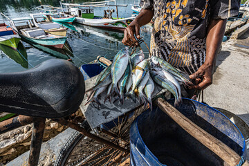 East Sumba, East Nusa Tenggara, Indonesia –  12. 26. 2024 – Meeting fishermen and fish vendors...