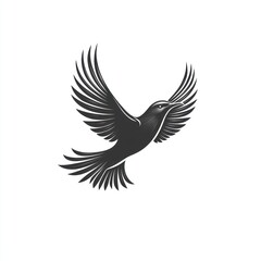 Fototapeta premium Black bird with spread wings flies against white background.