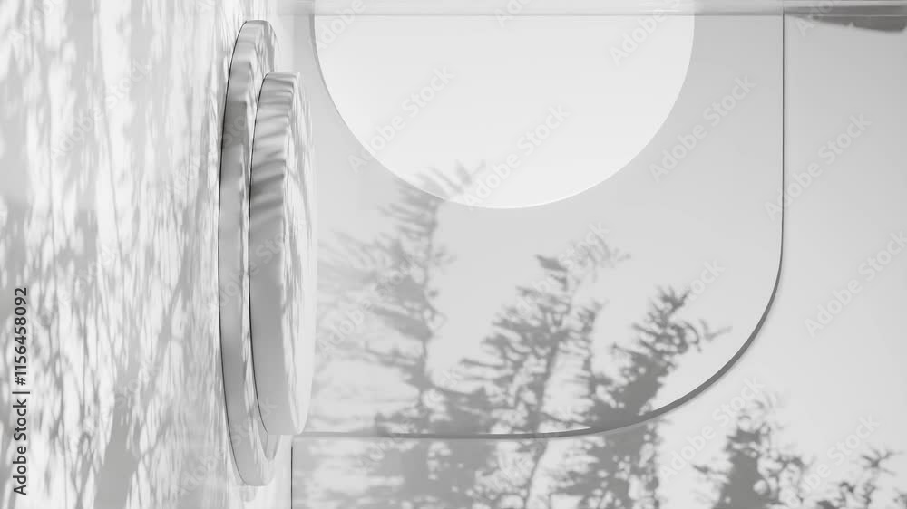 Poster minimalistic white podium with abstract circular background and natural tree shadows. modern product