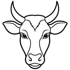black and white cow