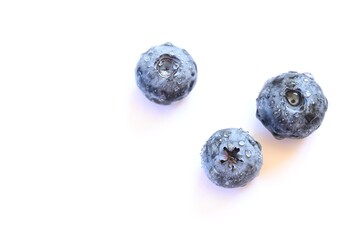Three blueberries on white background with water and copy space.